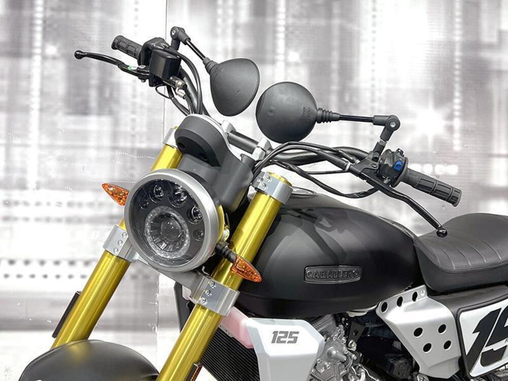 Fantic Motor Caballero 125 Flat Track (2021 - 24) (9)