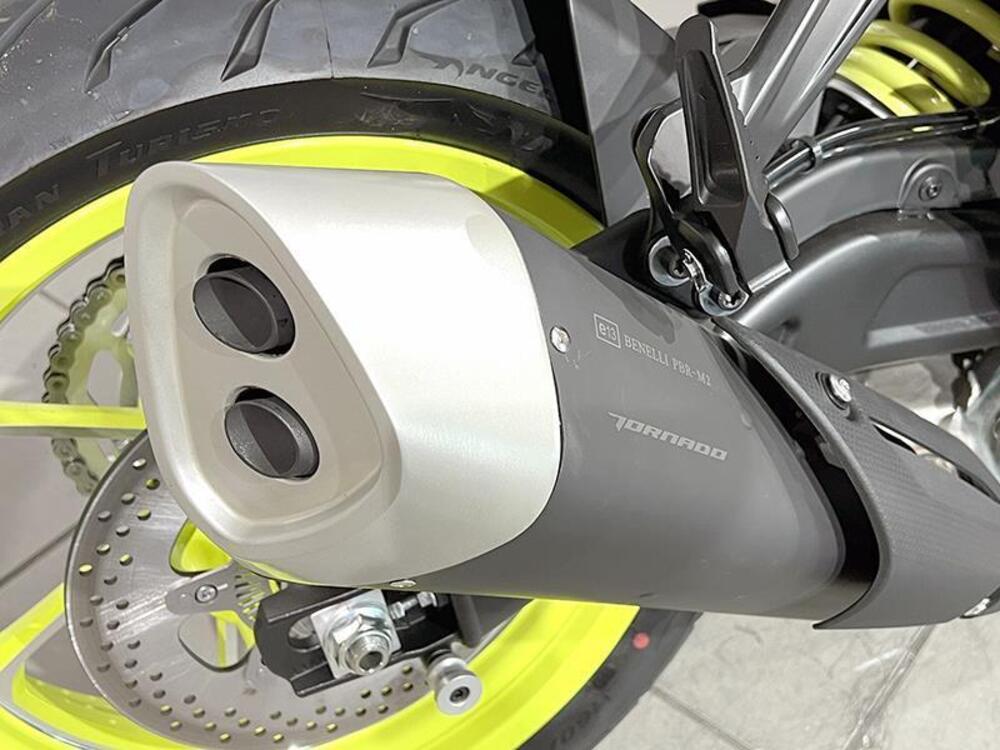 Benelli Tornado 550 (2025) (3)