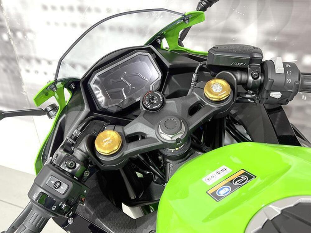 Kawasaki Ninja ZX-4RR (2024 - 26) (6)