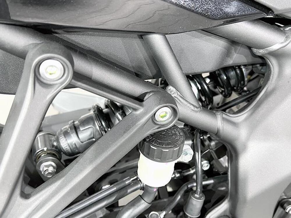 Kawasaki Ninja ZX-4R (2024 - 26) (5)