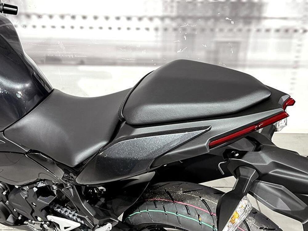 Kawasaki Ninja 500 (2024 - 26) (4)