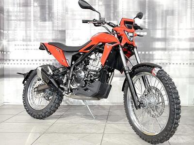 Betamotor Alp 4.0 (2024 - 25) nuova