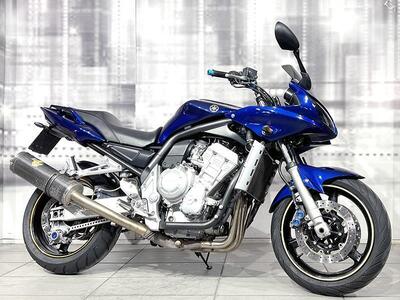 Yamaha FZS 1000 Fazer usata