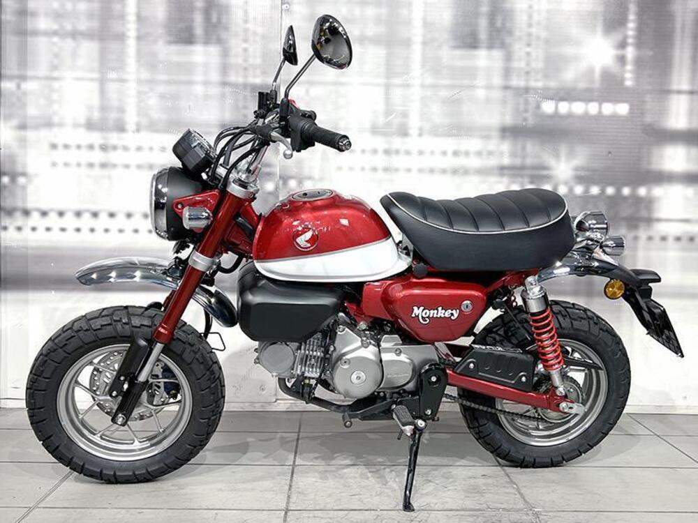 Honda Monkey 125 (2018 - 20) (7)