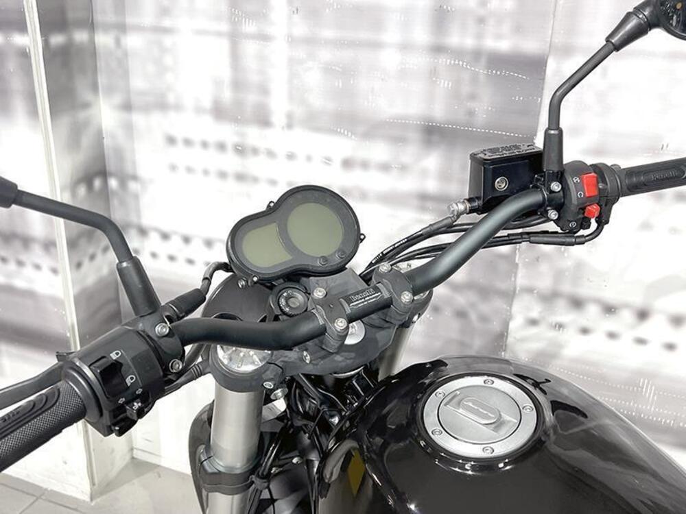 Benelli Leoncino 500 (2021 - 25) (6)