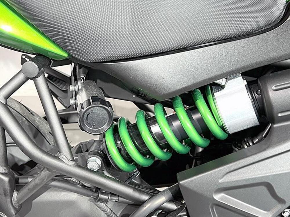 Kawasaki Versys 650 (2017 - 20) (4)