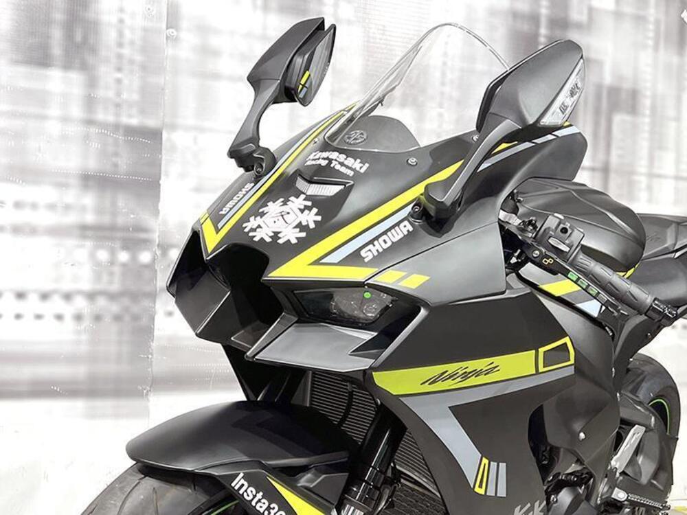 Kawasaki Ninja 1000 ZX-10RR (2021 - 23) (5)