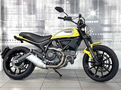 Ducati Scrambler 800 Icon (2015 - 16) usata