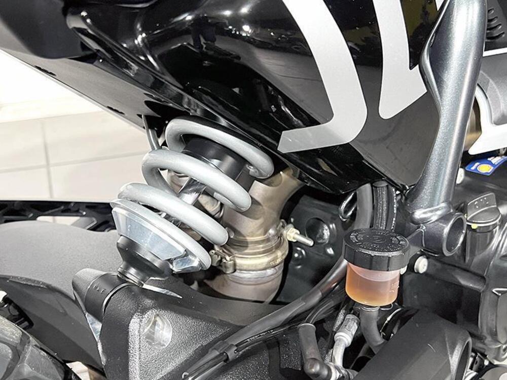 Ducati Scrambler 800 Icon (2023 - 24) (4)