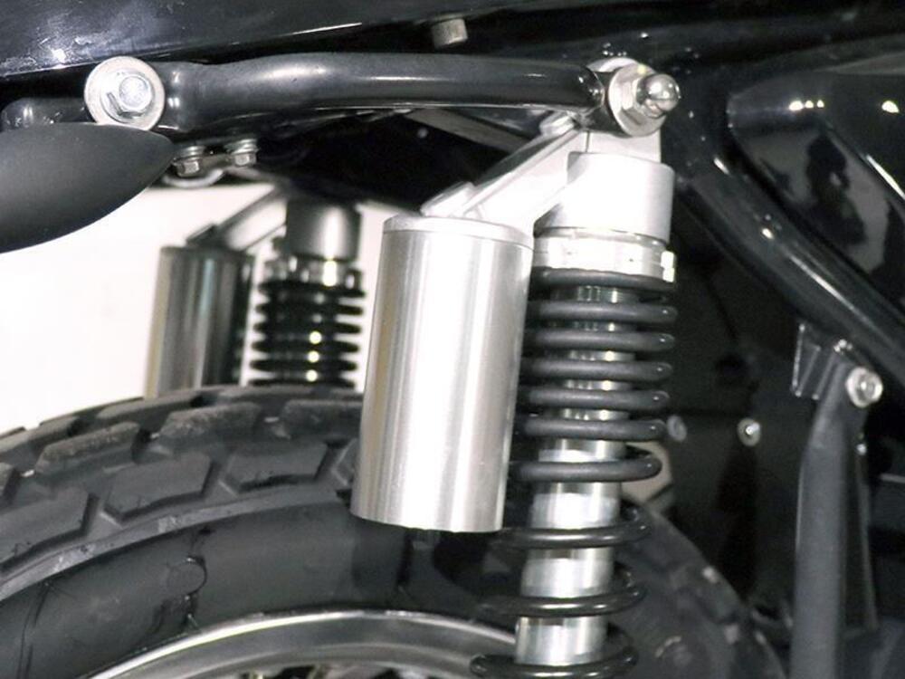 Mash Italia Dirt Track 650 (2019 - 20) (3)