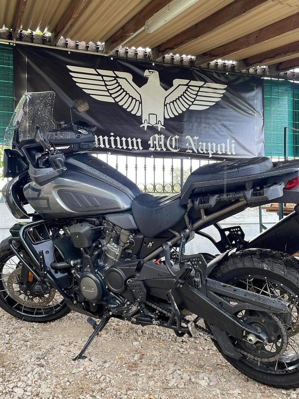 Harley-Davidson Pan America 1250 Special (2020 - 25) (4)