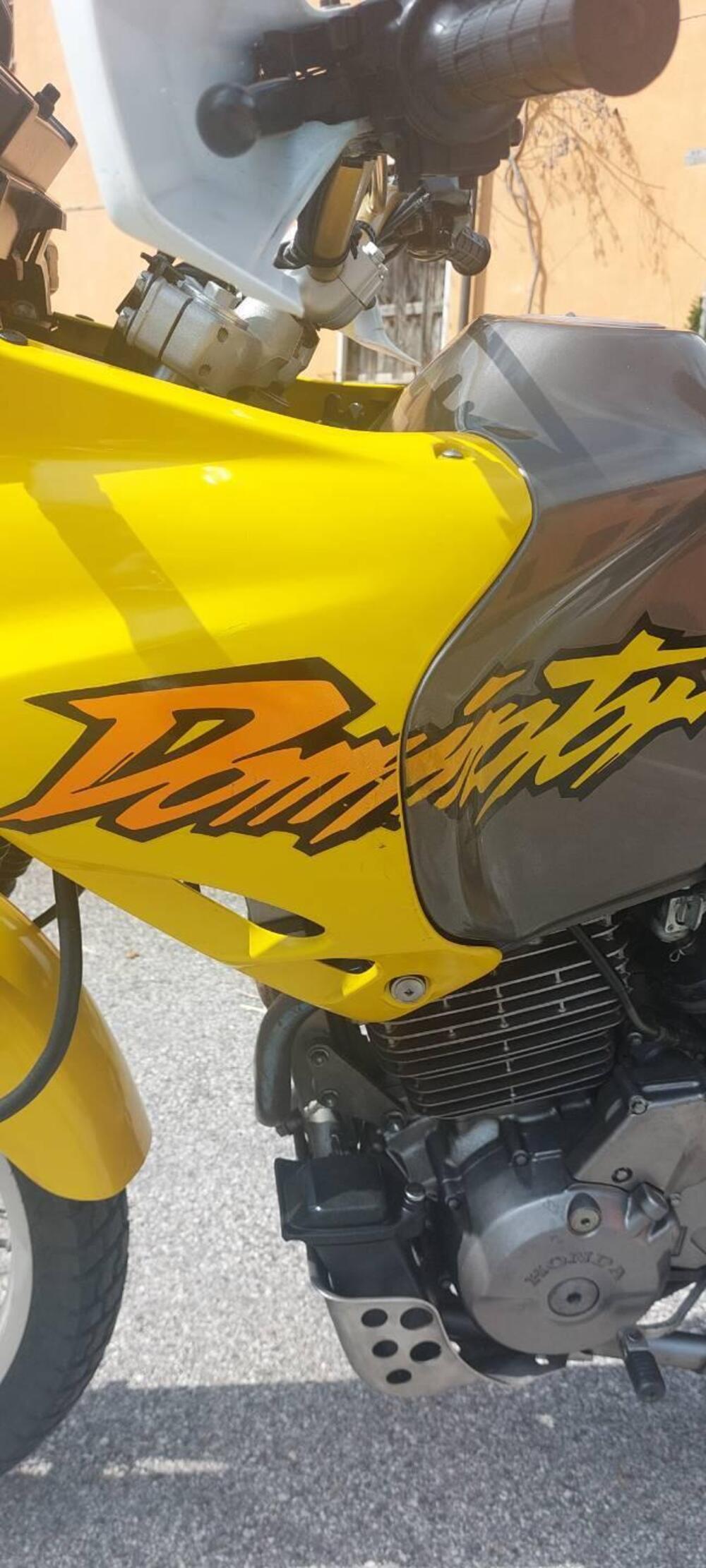 Honda NX 650 DOMINATOR (9)