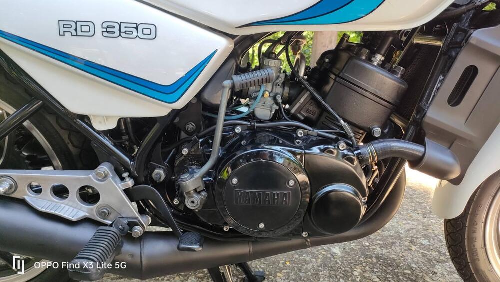 Yamaha RD 350 4L0 (7)