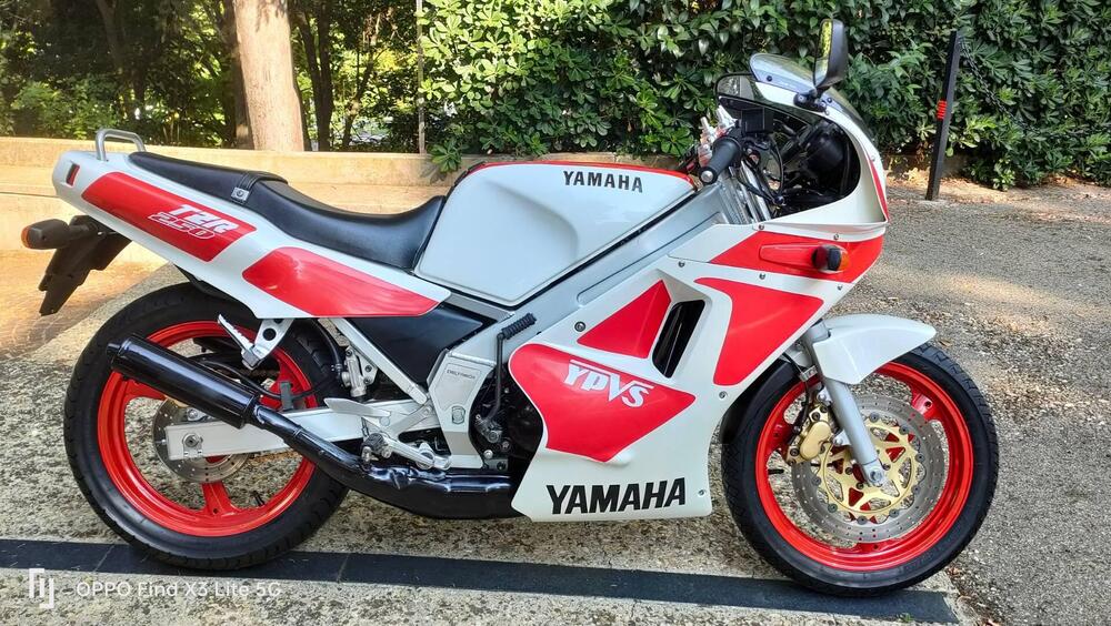 Yamaha TZR 250 2MA (2)
