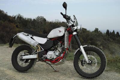 Swm Superdual 600 T (2018 - 20) usata