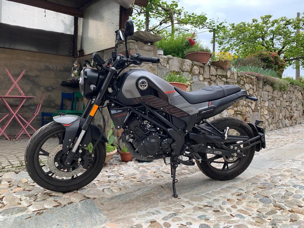 Benelli Leoncino 125 (2022 - 25)