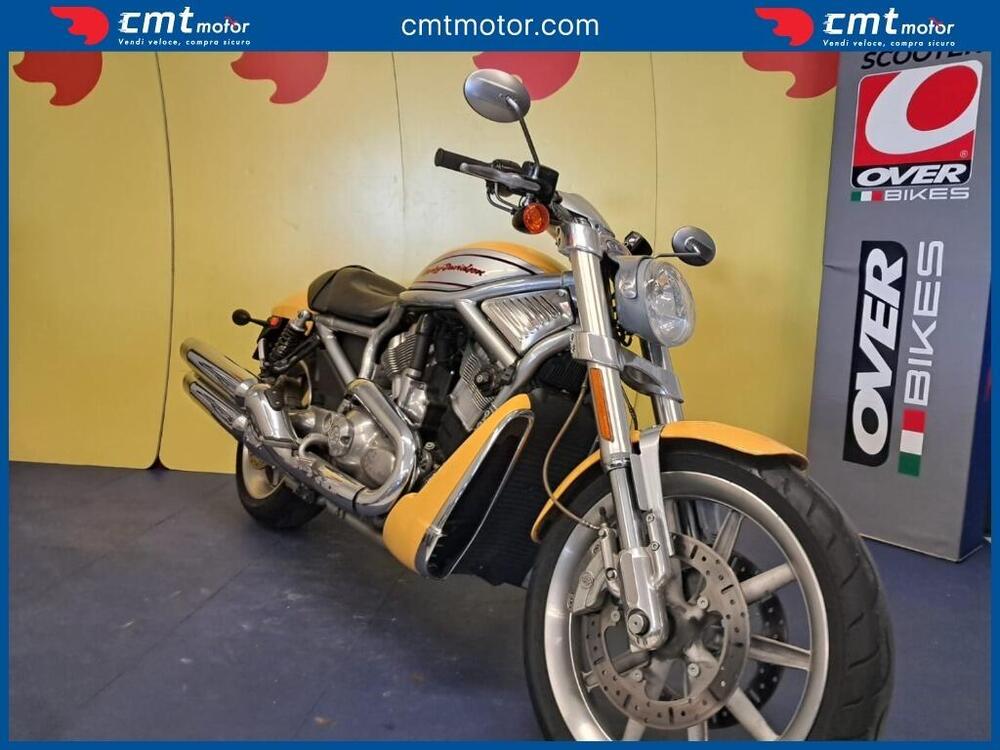 Harley-Davidson 1130 V-ROD (2002 - 05) - VRSCB (2)