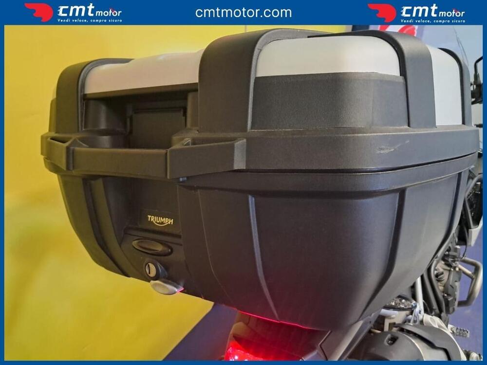 Triumph Tiger 900 Rally Pro (2020 - 23) (7)