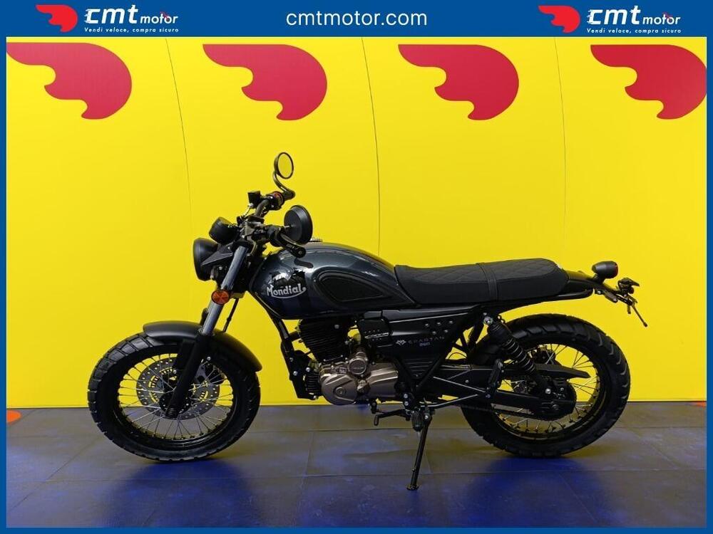 FB Mondial Spartan 250 (2024) (3)