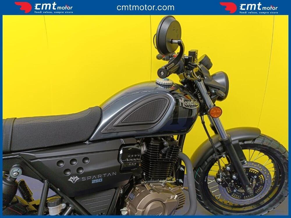 FB Mondial Spartan 250 (2024) (6)