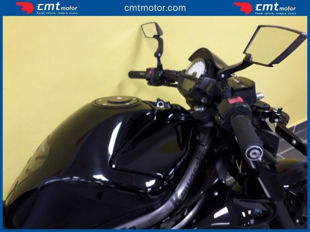 Kawasaki ER-6N (2012 - 13) (11)