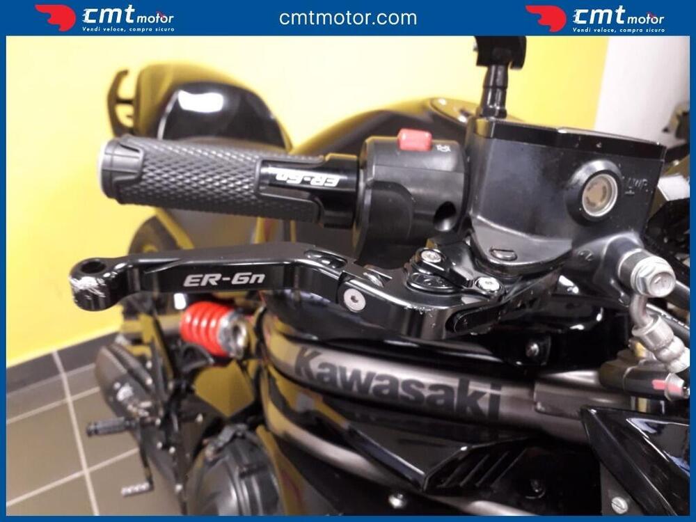 Kawasaki ER-6N (2012 - 13) (12)