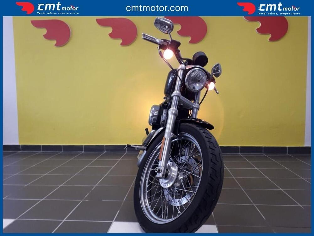 Harley-Davidson 883 Low (2008 - 12) - XL 883L (2)