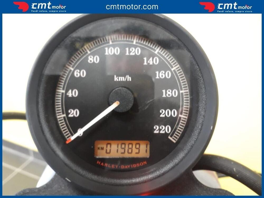 Harley-Davidson 883 Low (2008 - 12) - XL 883L (5)