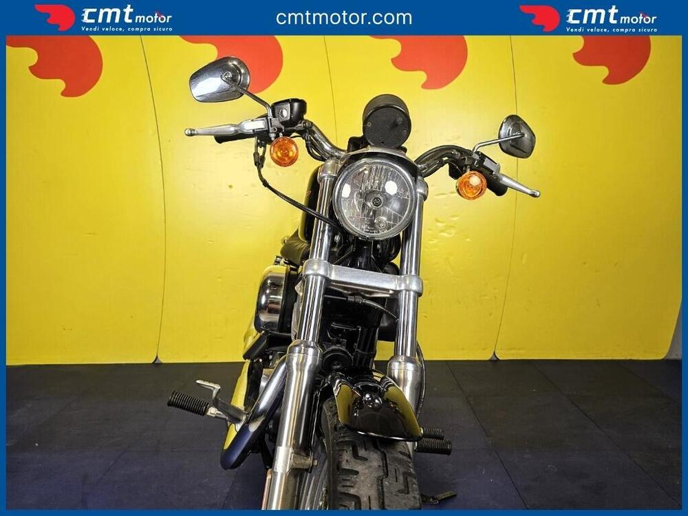 Harley-Davidson 883 Standard (2001 - 05) - XL 883 (6)