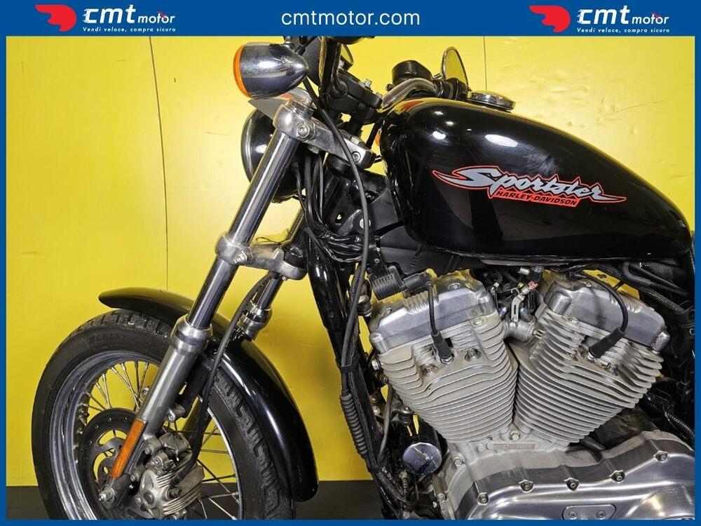 Harley-Davidson 883 Standard (2001 - 05) - XL 883 (7)