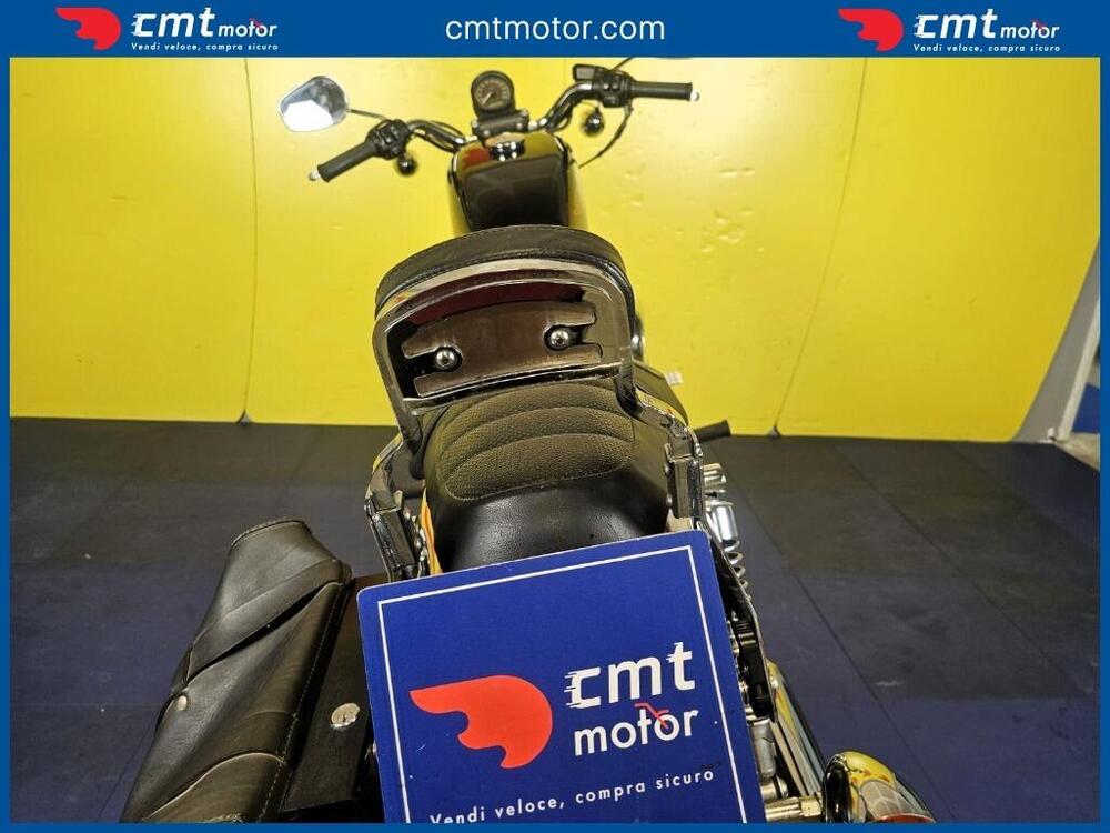 Harley-Davidson 883 Standard (2001 - 05) - XL 883 (9)