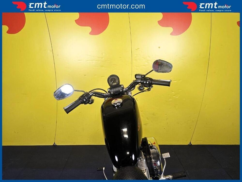 Harley-Davidson 883 Standard (2001 - 05) - XL 883 (10)