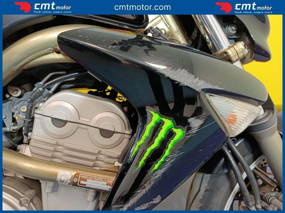 Kawasaki ER-6N (2006 - 09) (11)