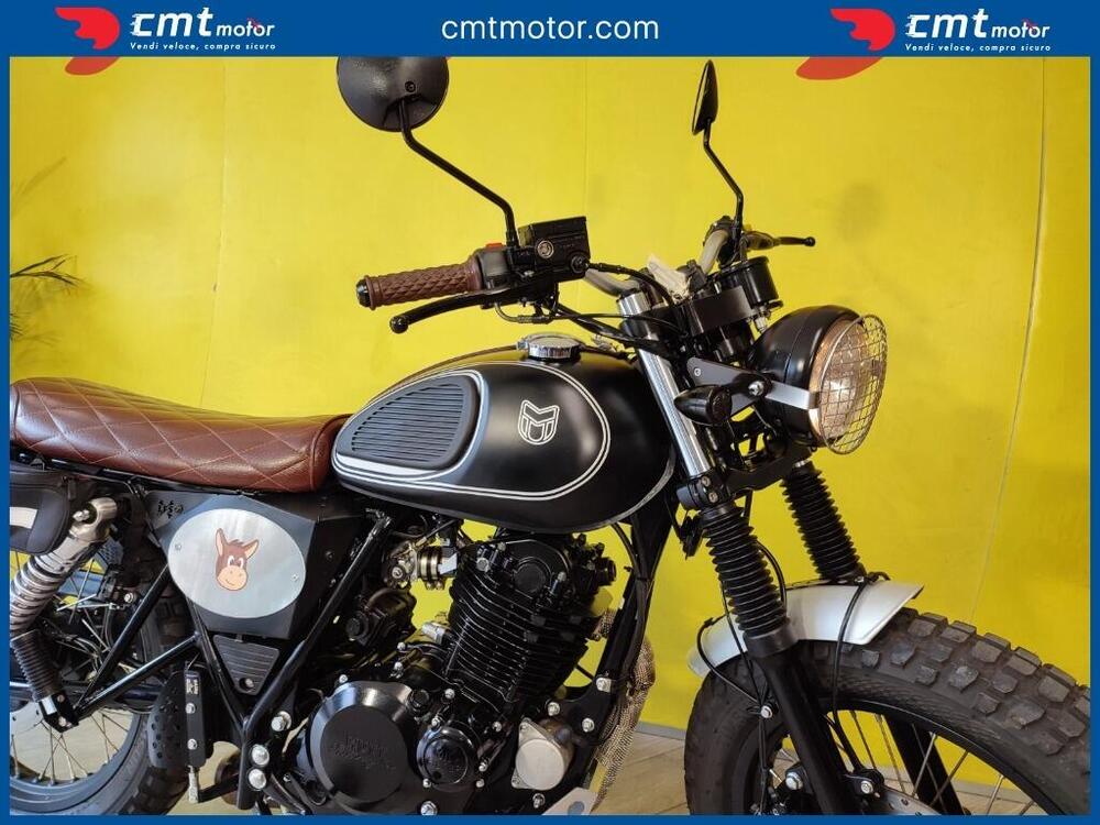 Mutt Motorcycles Mastiff 250 (2021 - 25) (6)