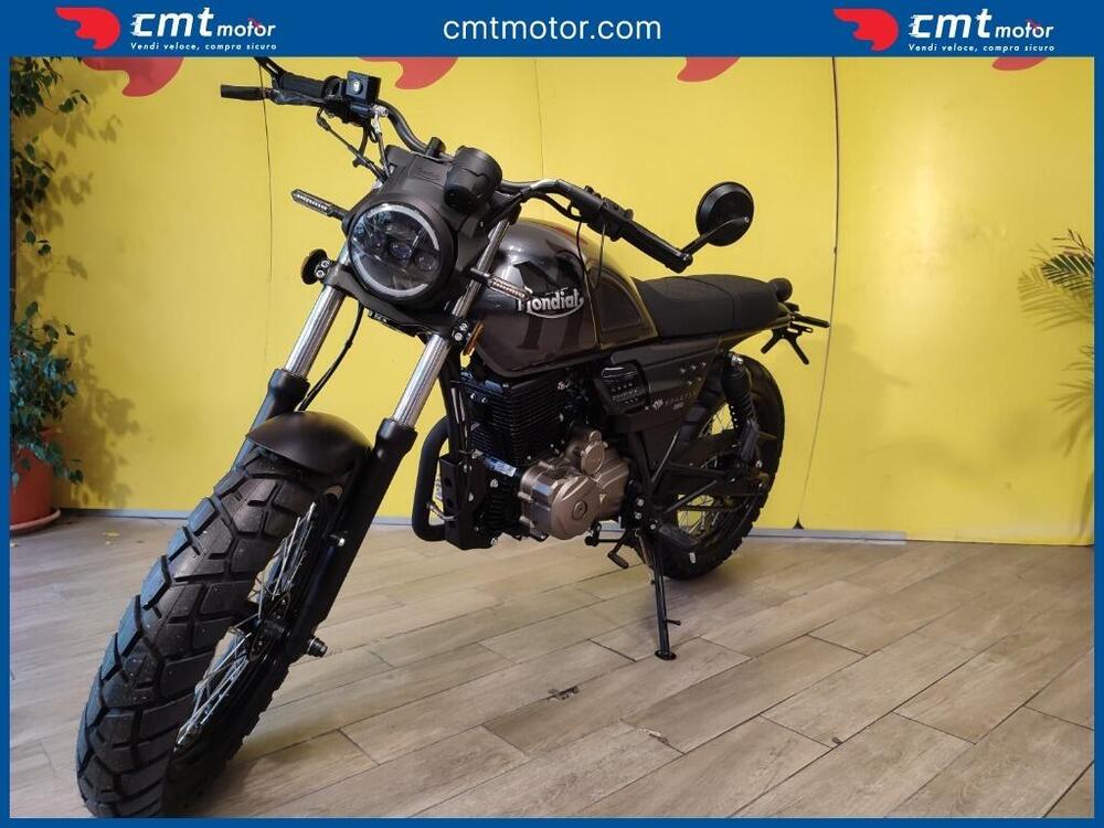 FB Mondial Spartan 250 (2024) (7)