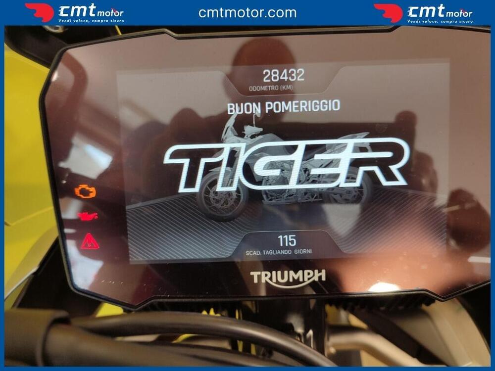 Triumph Tiger 900 Rally Pro (2020 - 23) (5)