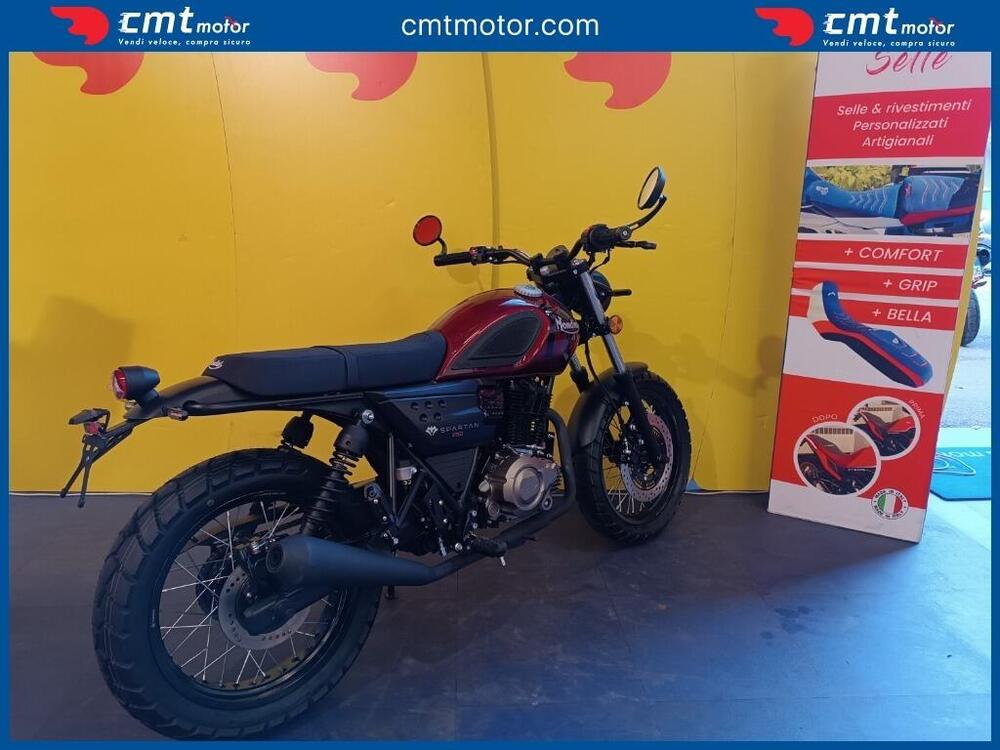 FB Mondial Spartan 250 (2024) (2)