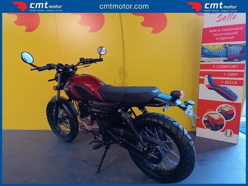 FB Mondial Spartan 250 (2024) (6)