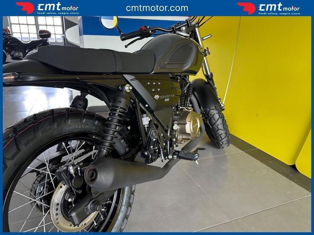 FB Mondial Spartan 250 (2024) (8)