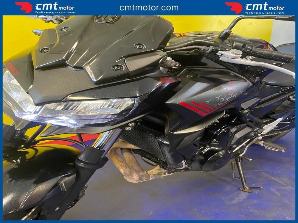 Kawasaki Z 650 (2021 - 24) (7)