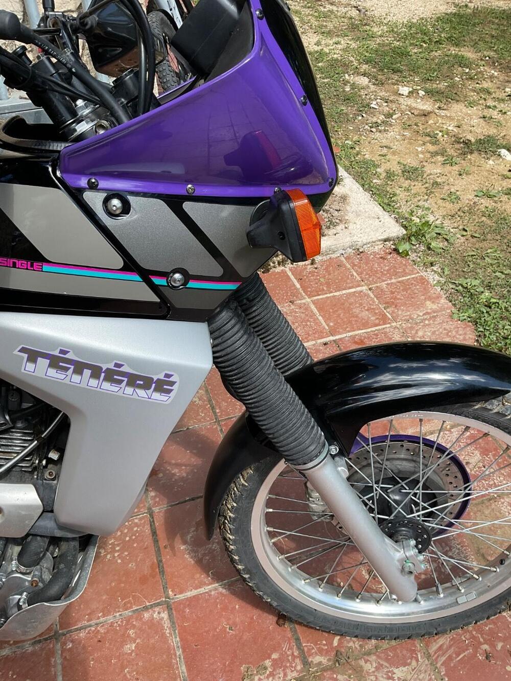 Yamaha Tenere 660 xtz (19)