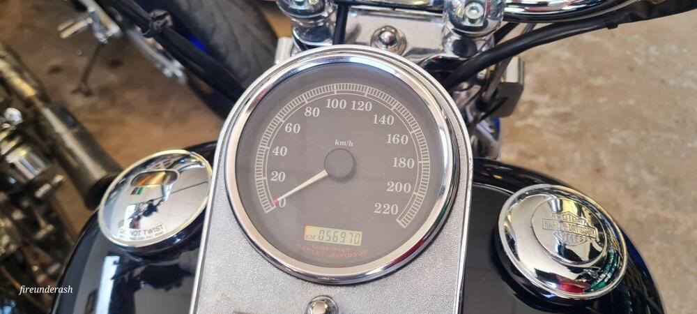 Harley-Davidson 1450 Springer (2002 - 04) - FXSTSI (14)