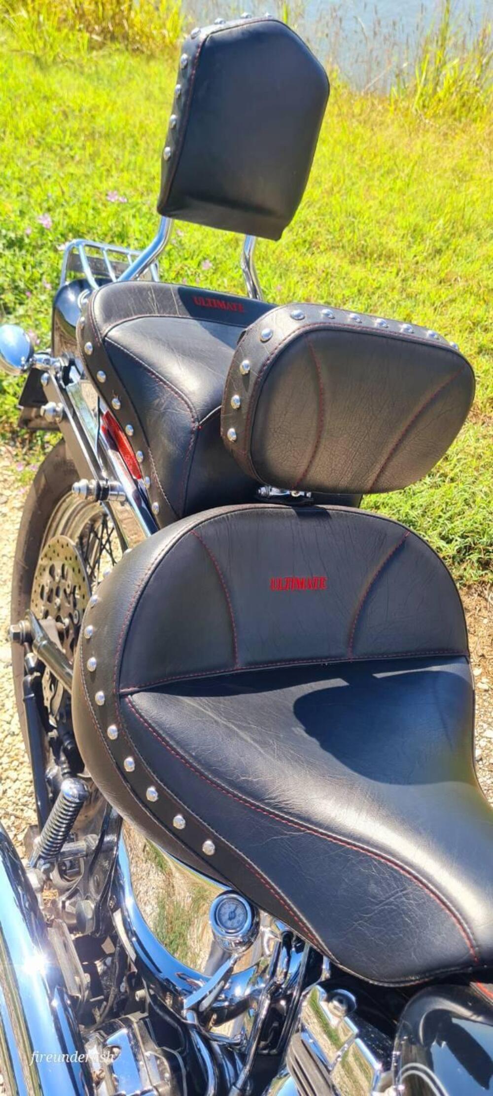 Harley-Davidson 1450 Springer (2002 - 04) - FXSTSI (5)