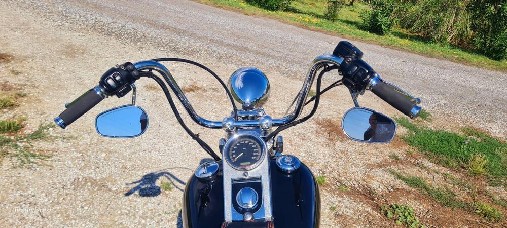 Harley-Davidson 1450 Springer (2002 - 04) - FXSTSI (4)