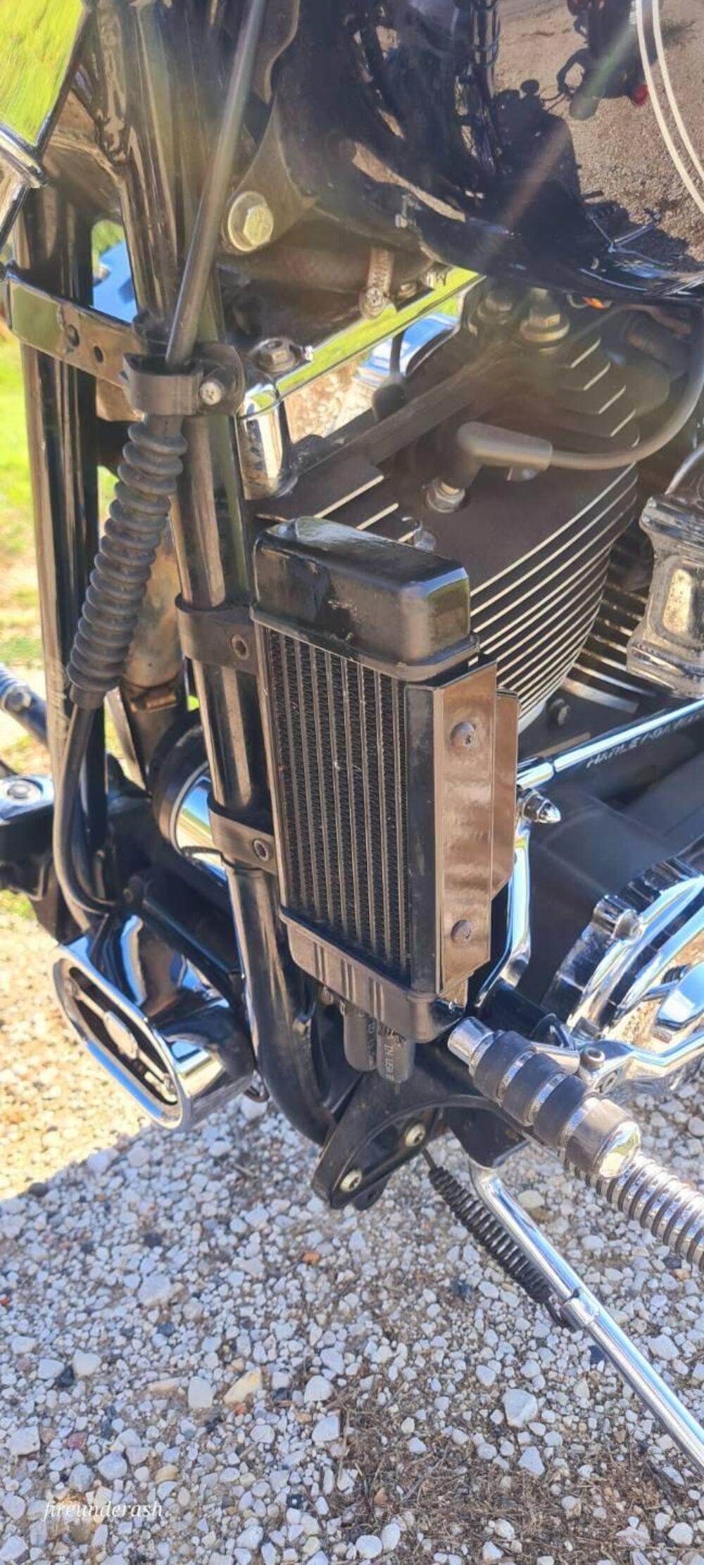 Harley-Davidson 1450 Springer (2002 - 04) - FXSTSI (11)