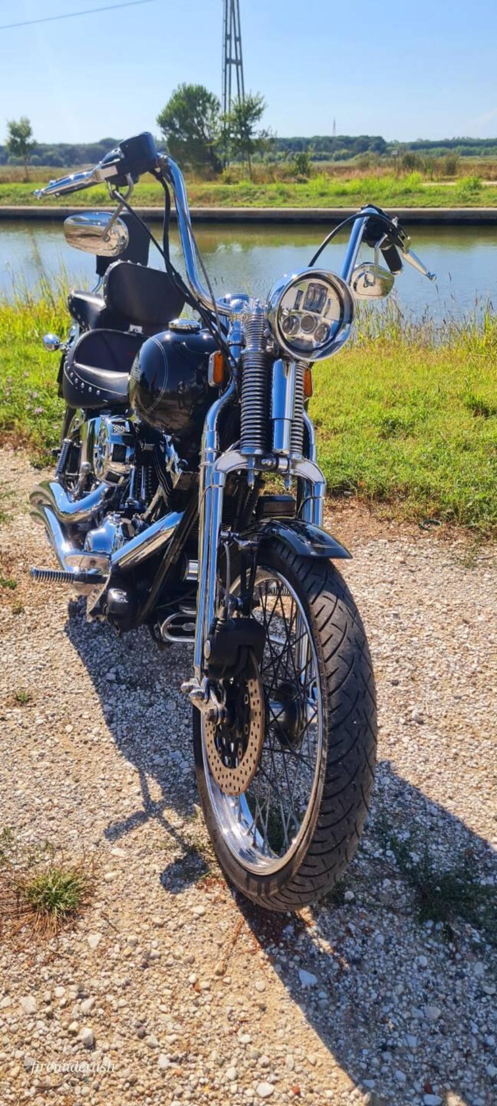 Harley-Davidson 1450 Springer (2002 - 04) - FXSTSI (3)