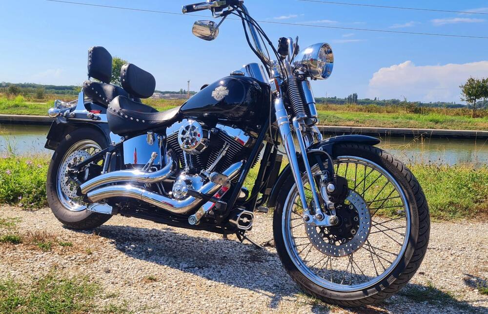 Harley-Davidson 1450 Springer (2002 - 04) - FXSTSI (2)