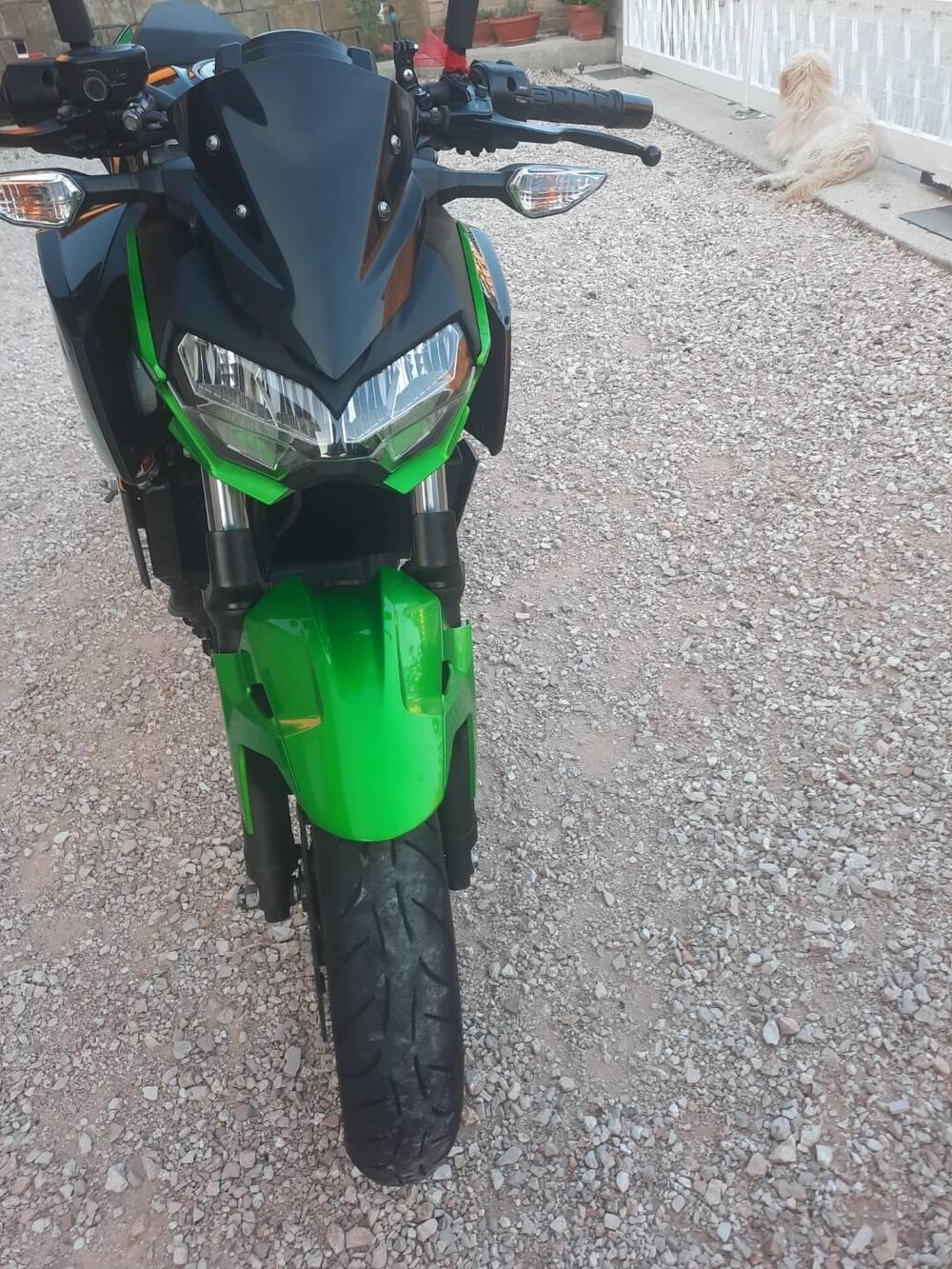 Kawasaki Z 400 (2019 - 20) (2)