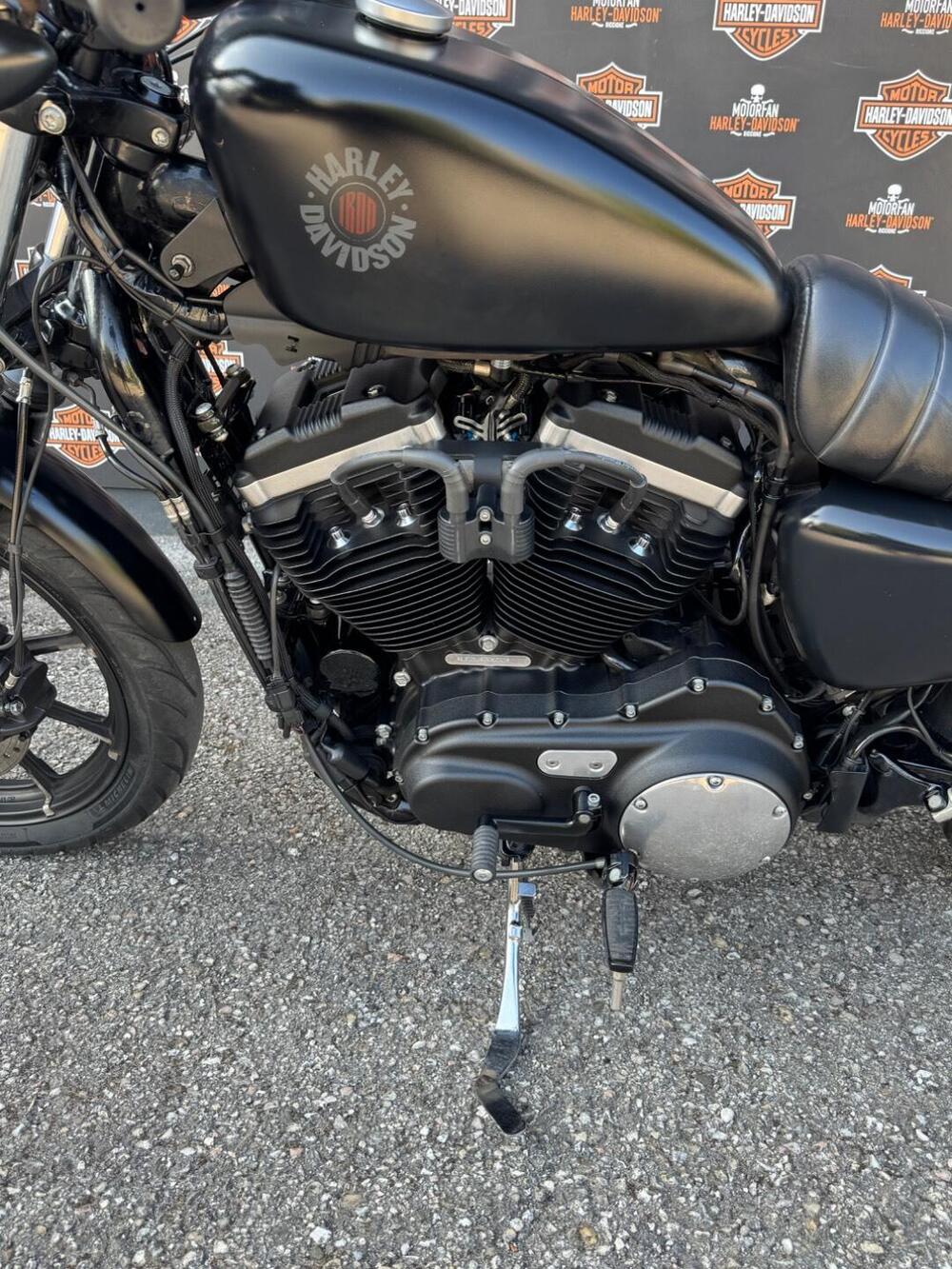 Harley-Davidson 883 Iron (2017 - 20) - XL 883N (2)