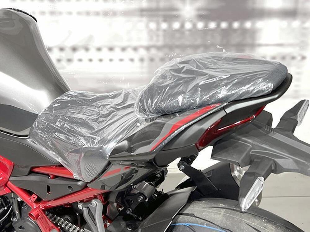 Kawasaki Z 900 A2 (2025 - 26) (3)